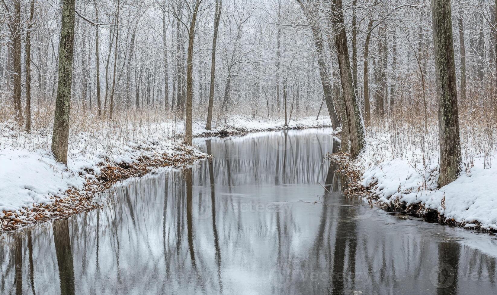 A snowy forest with a river running through it photo