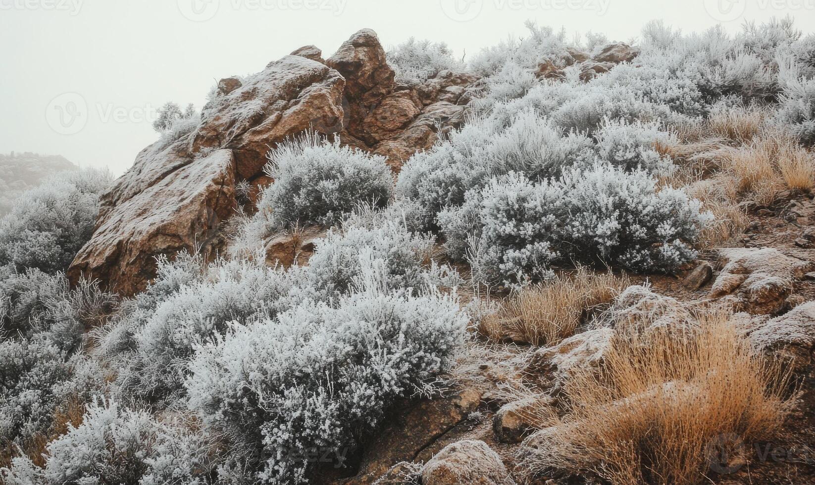 A rocky hillside covered in snow and plants photo