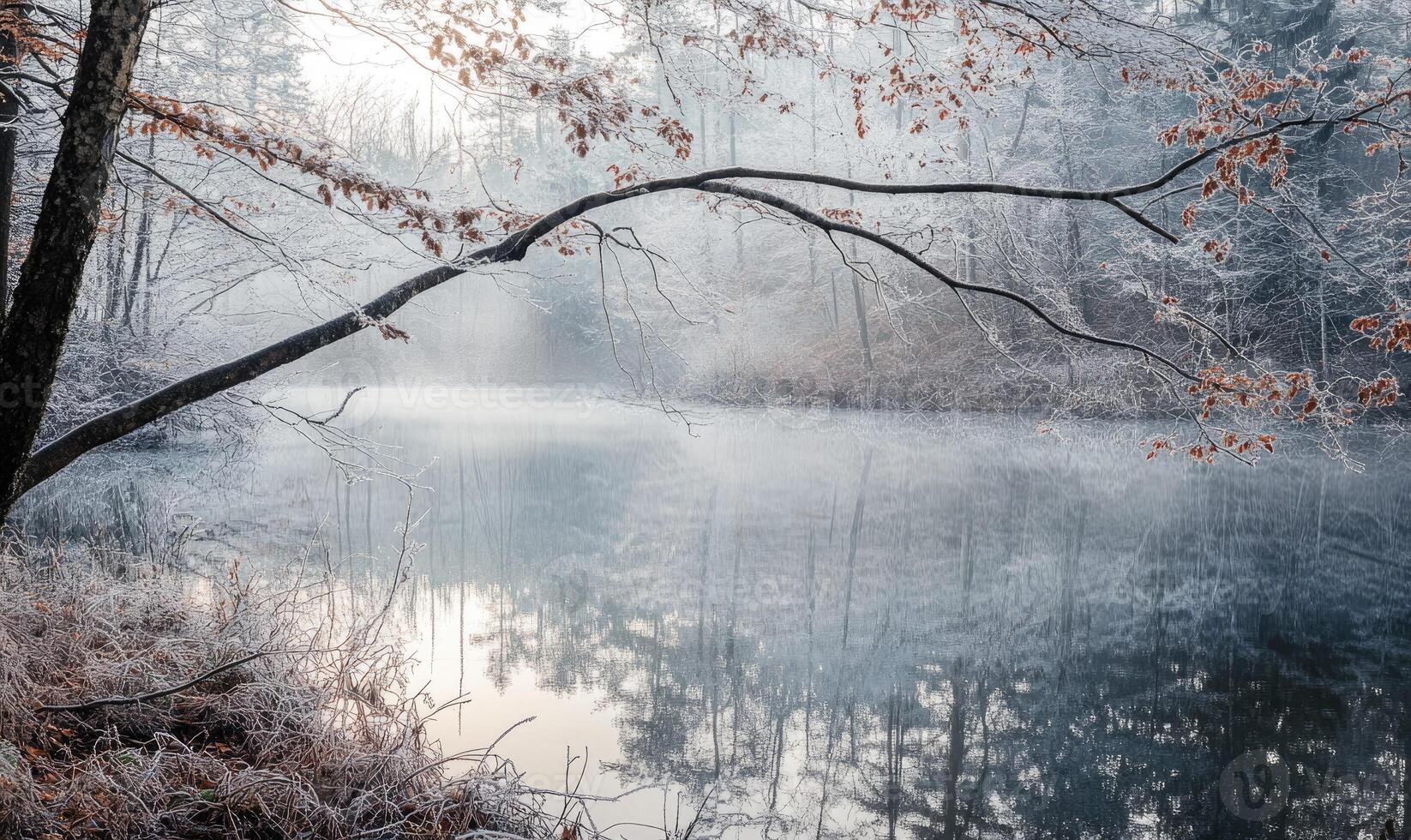 A tree branch is reflected in the water of a lake photo
