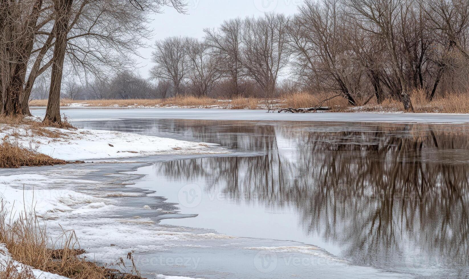 A snowy landscape with a frozen river and trees photo