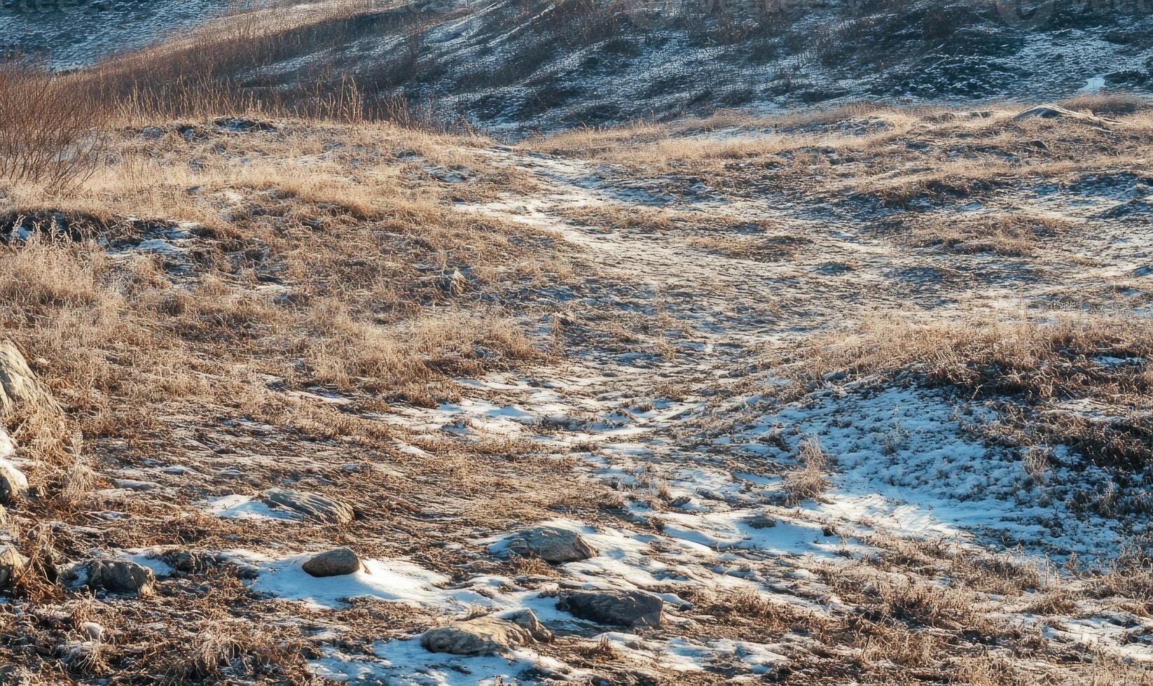 A field of snow with a path through it photo