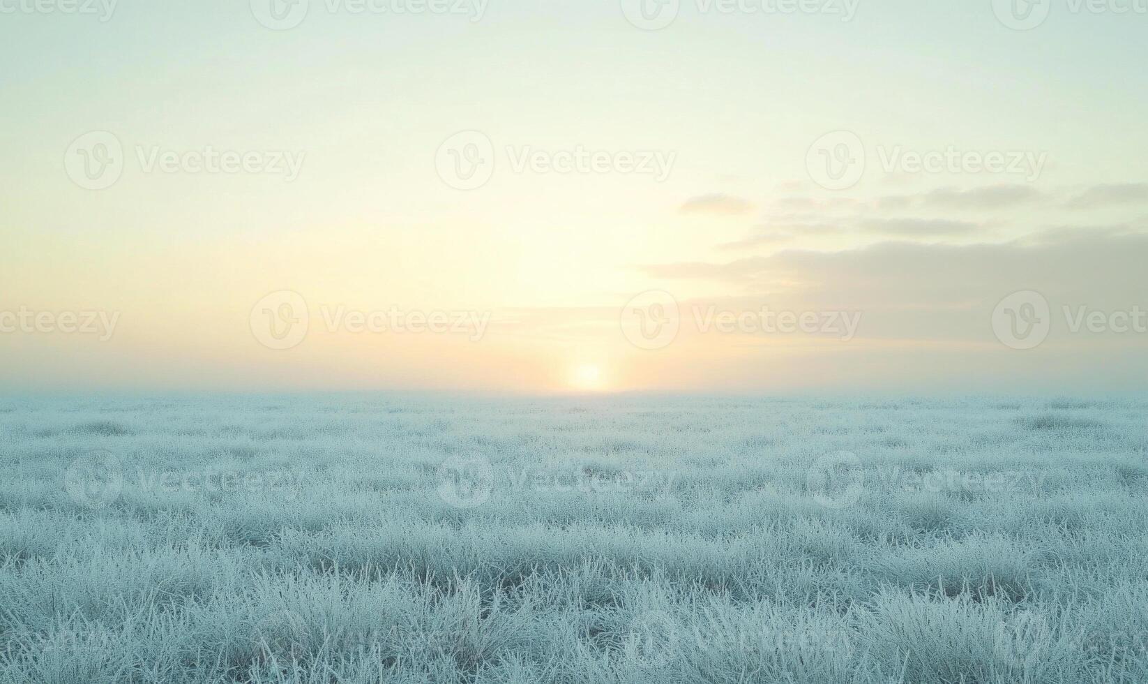 A field of snow covered grass with a sun setting in the background photo