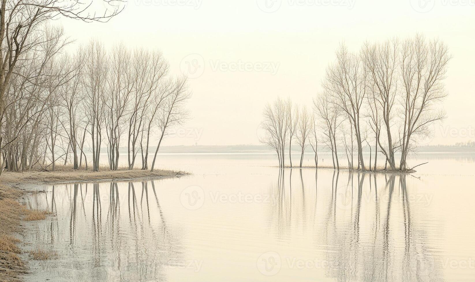 A lake with trees in the background photo