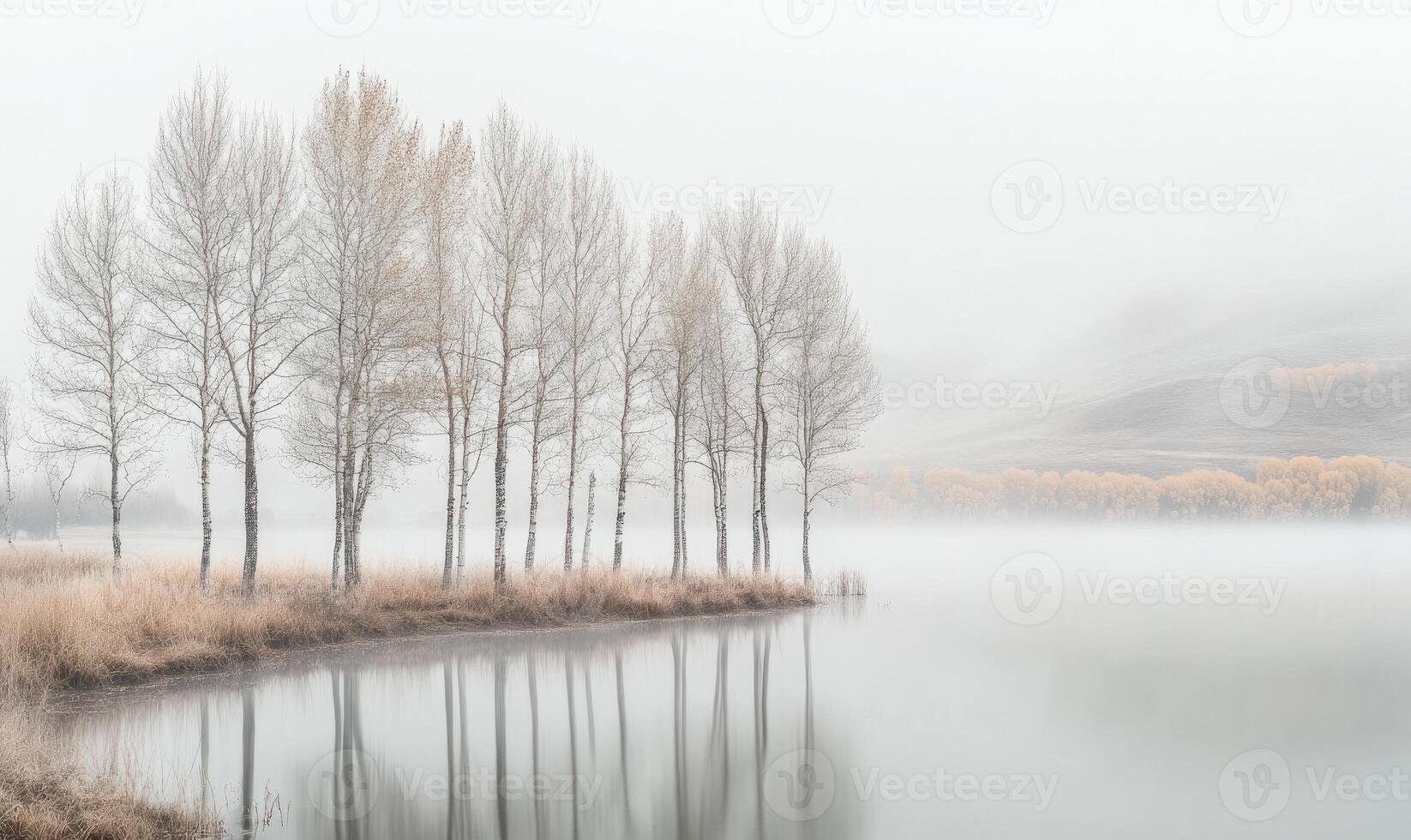 A group of trees are reflected in the water of a lake photo