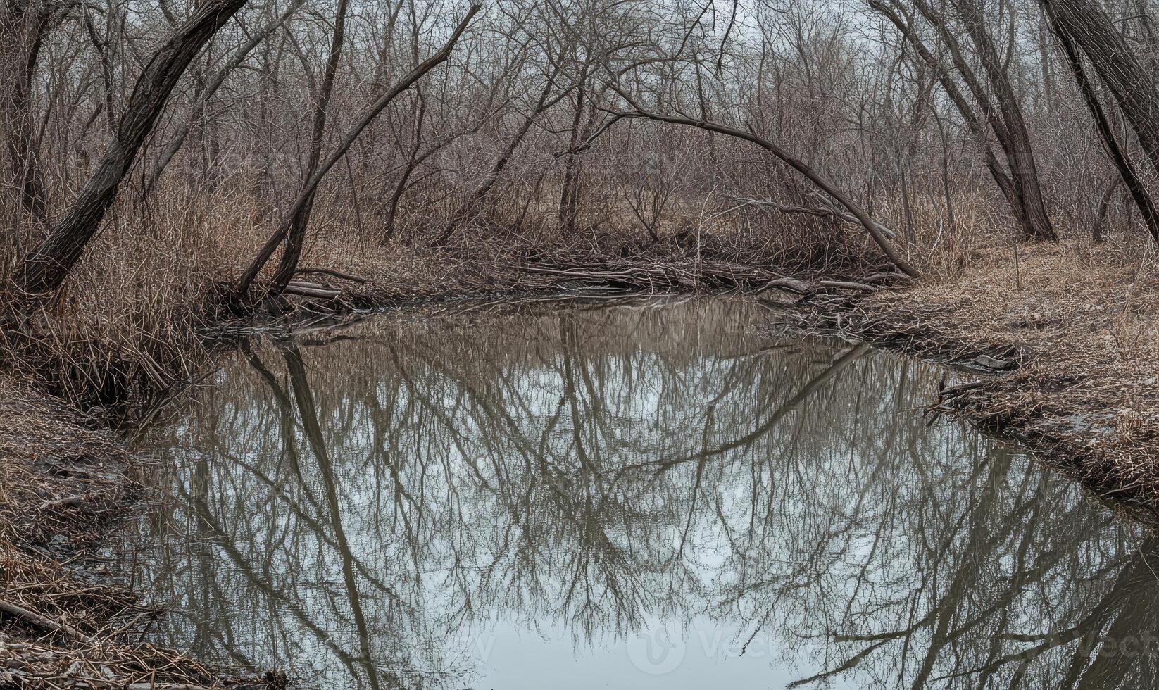 A body of water with trees in the background photo