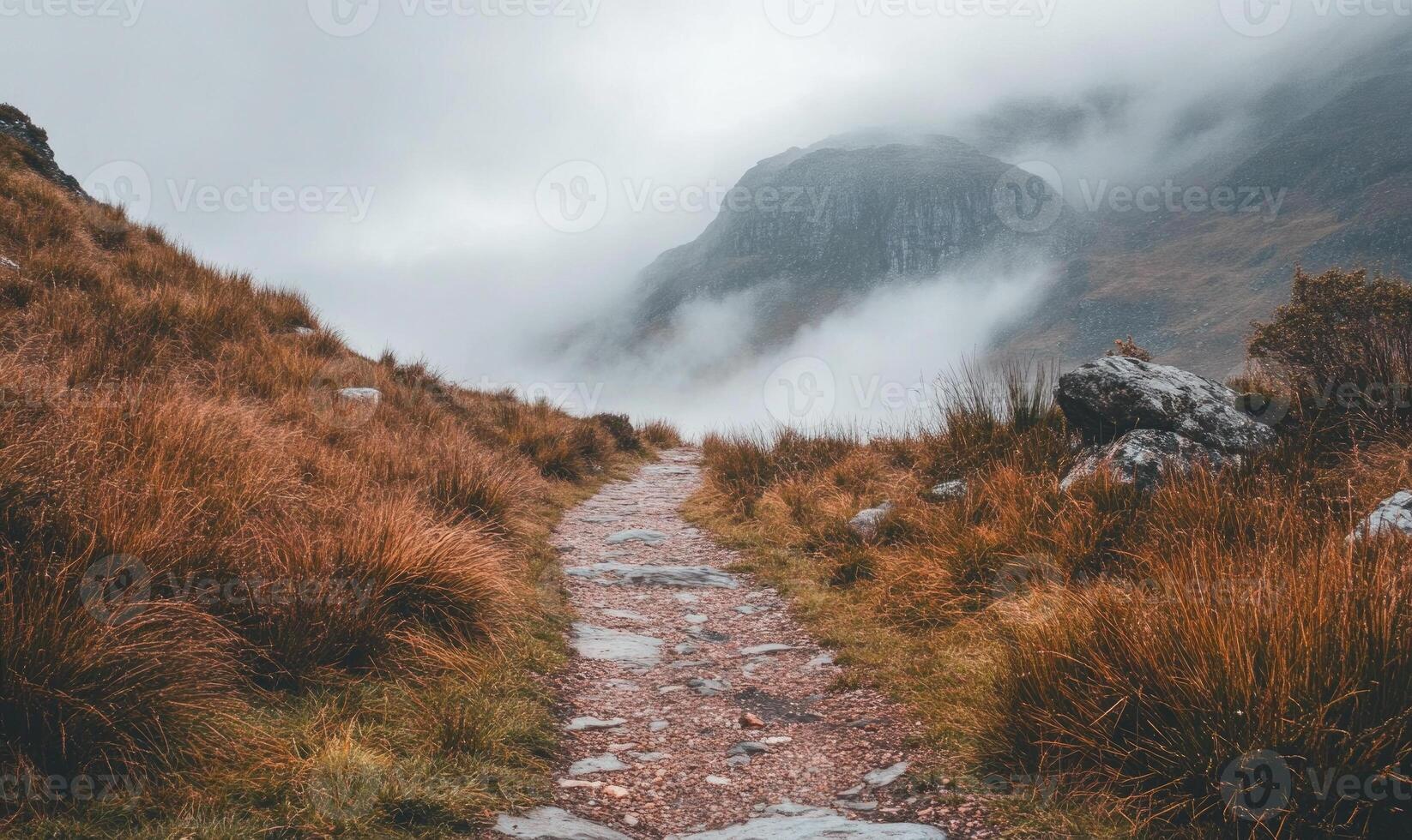 A path winds through a grassy field with a mountain in the background photo