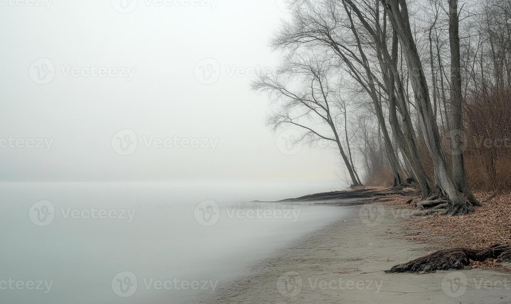 A foggy day with a lake and trees in the background photo