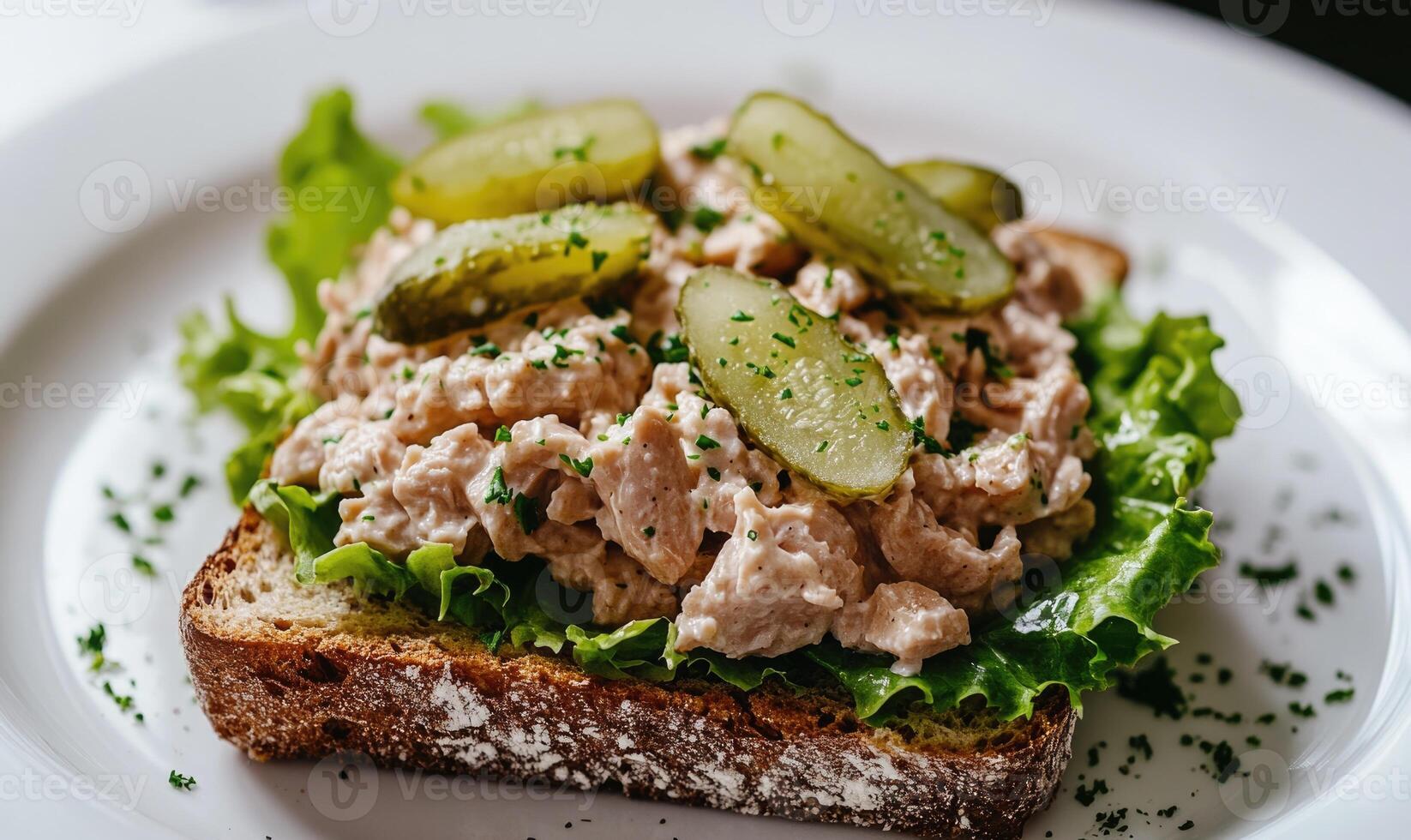 A sandwich with meat and pickles on a white plate photo