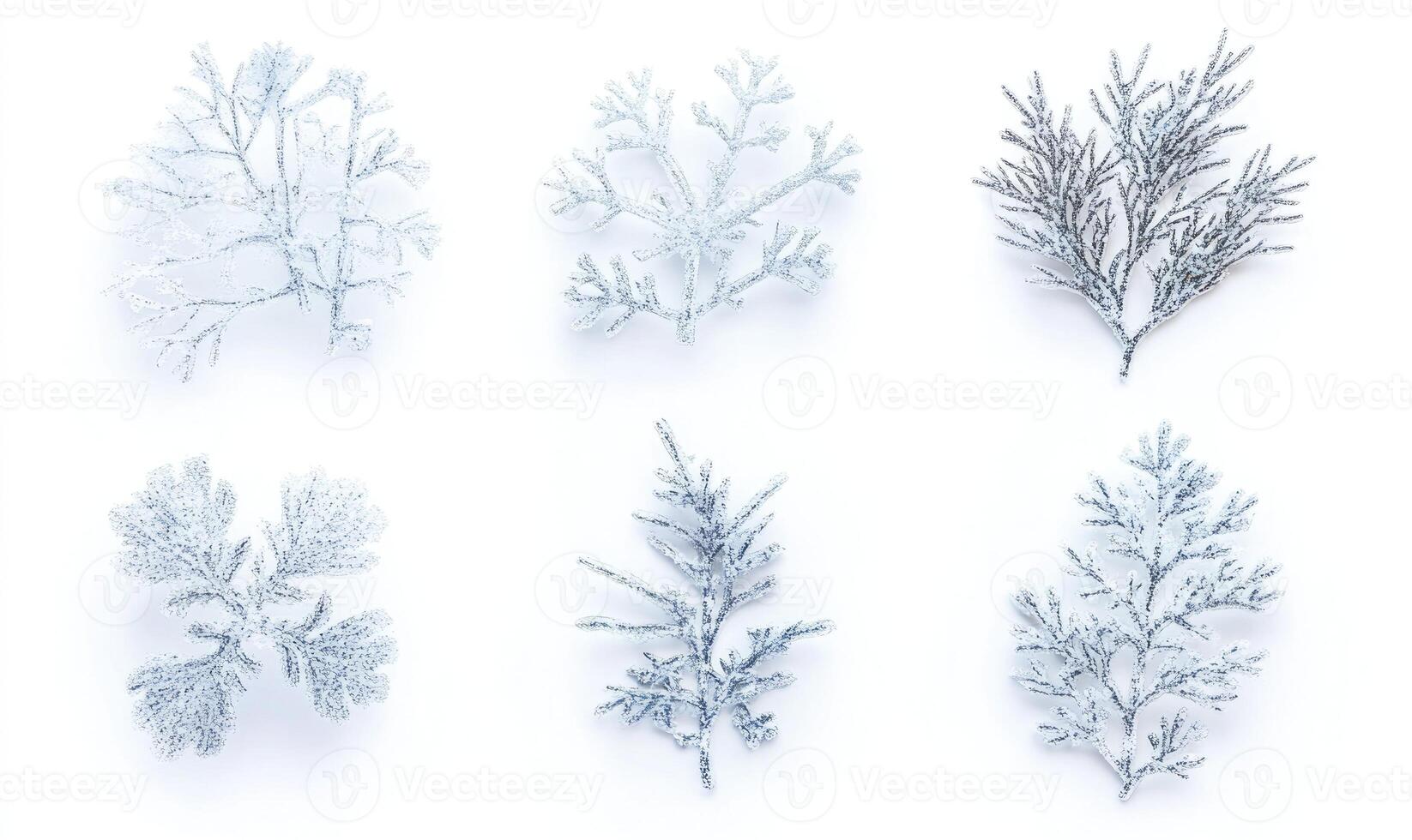 Six different types of white branches, each with a unique texture and pattern photo