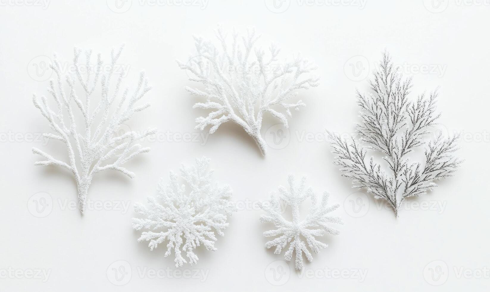 A collection of white snowflake-like branches and leaves photo