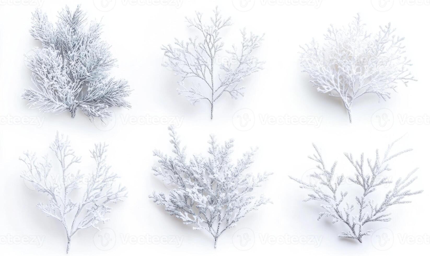 Six different types of white branches, each with a unique texture and shape photo