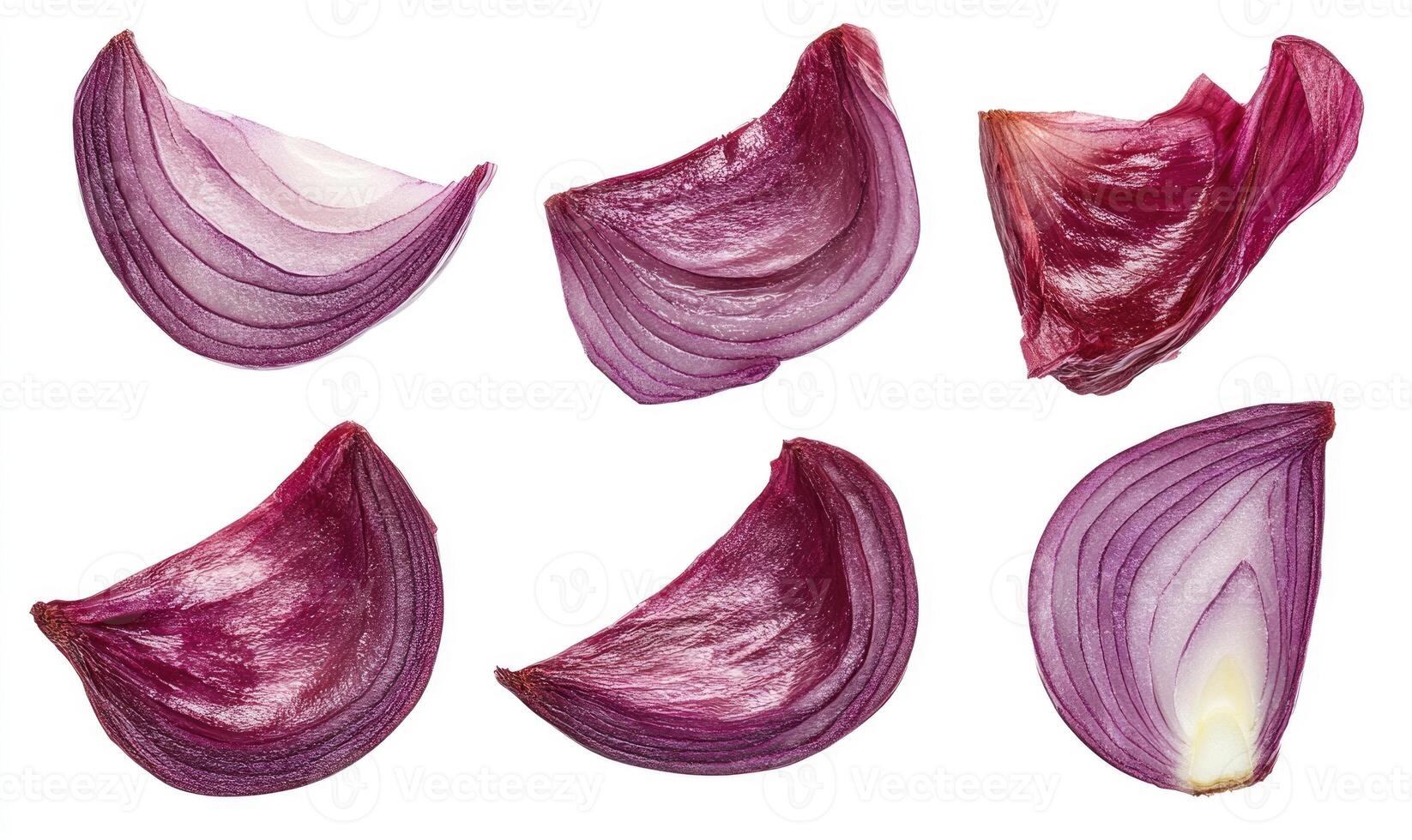 A close up of a single onion, sliced into six pieces photo