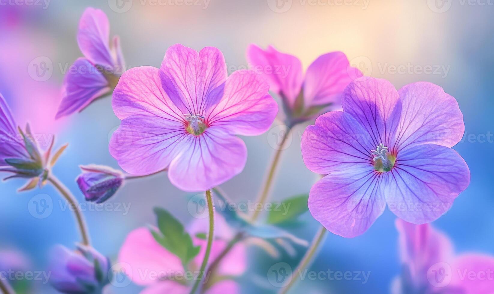 A close up of a bunch of pink flowers photo