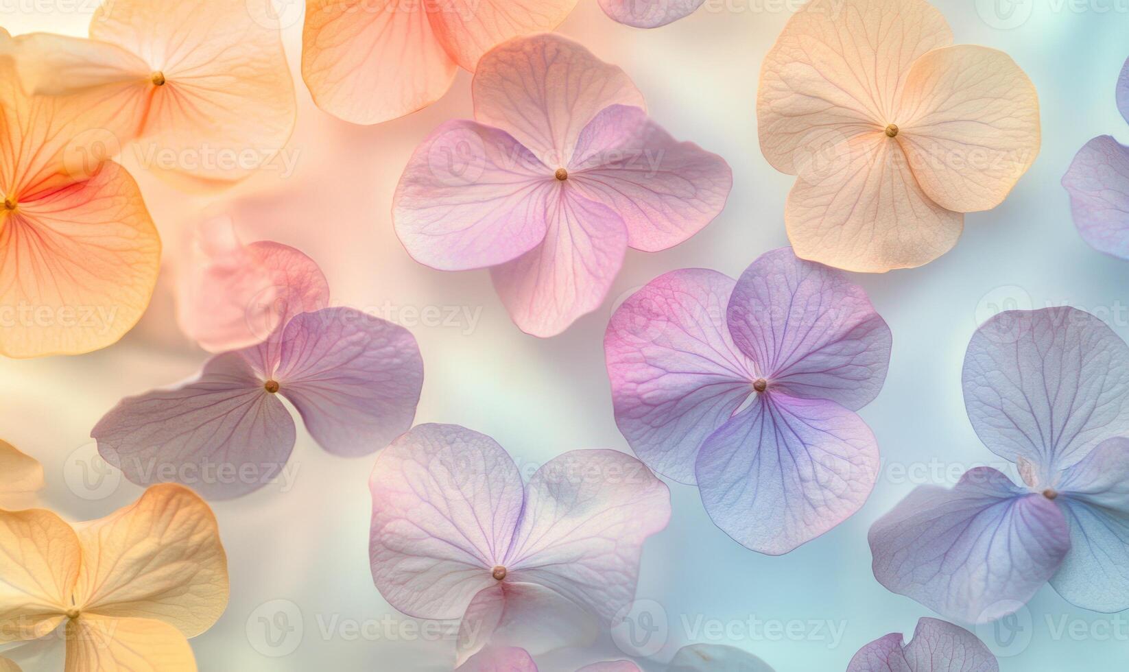 A close up of a bunch of flowers with different colors photo
