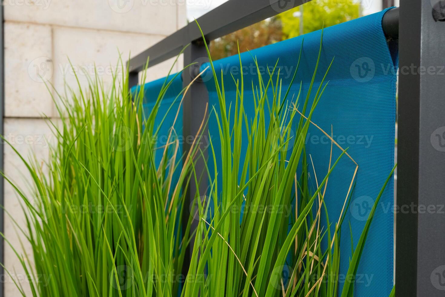 Green grass grows next to a blue fence photo