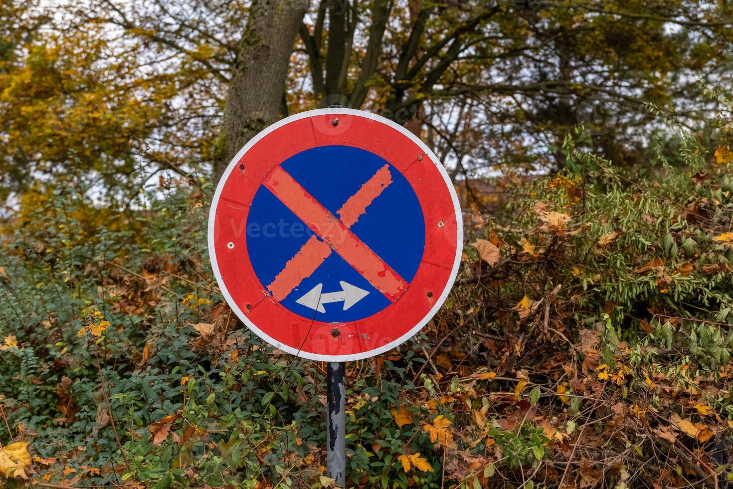 red and blue sign with an X on it is on a hillside photo