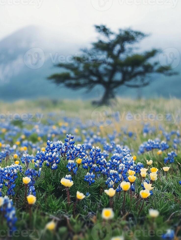 Blue and yellow flowers in a field with a tree photo