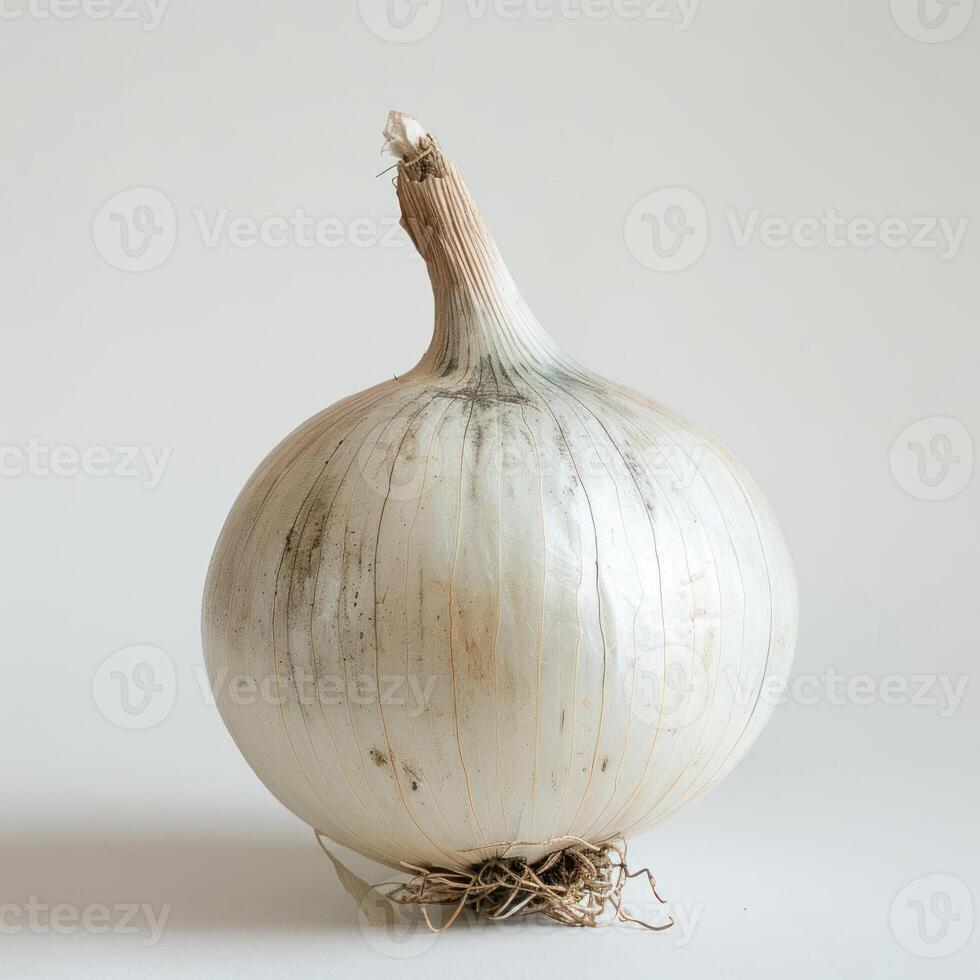 A close-up photograph of a bulbous purple onion with its root still attached, photo