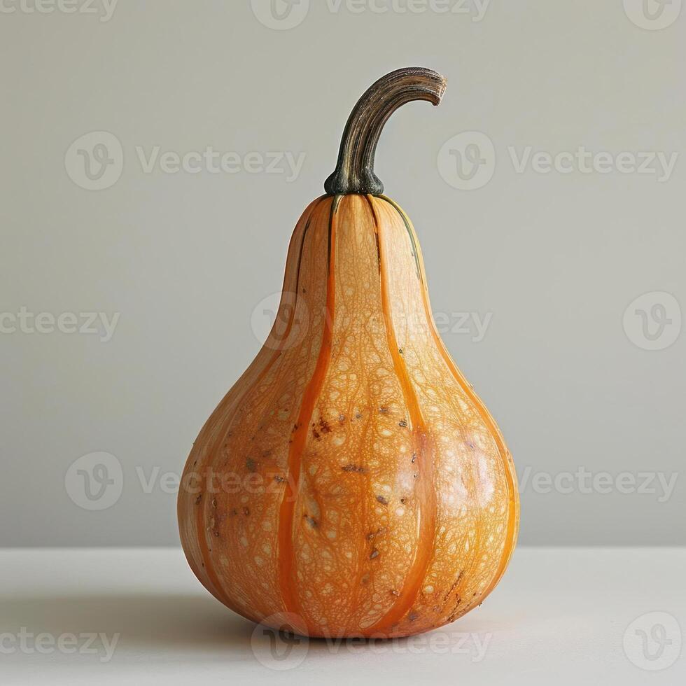 A large, ripe pumpkin on a white background. photo