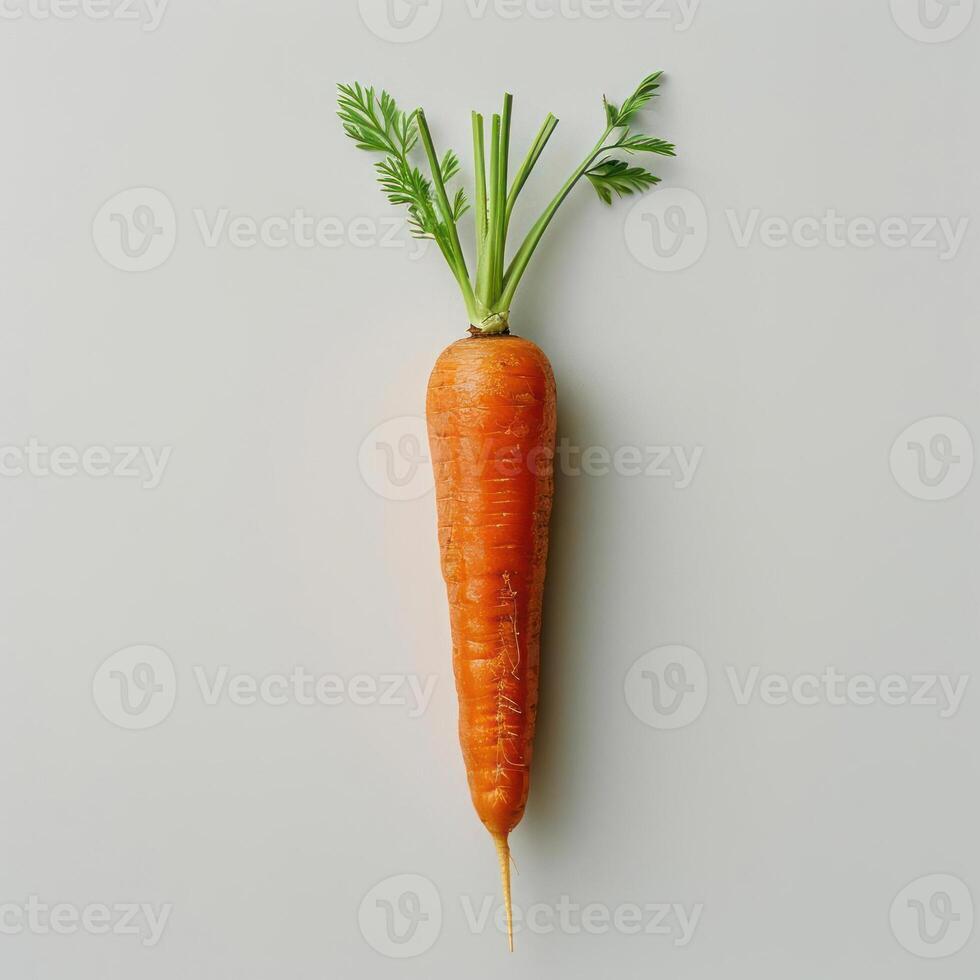 A carrot with green tops on a gray surface, photo