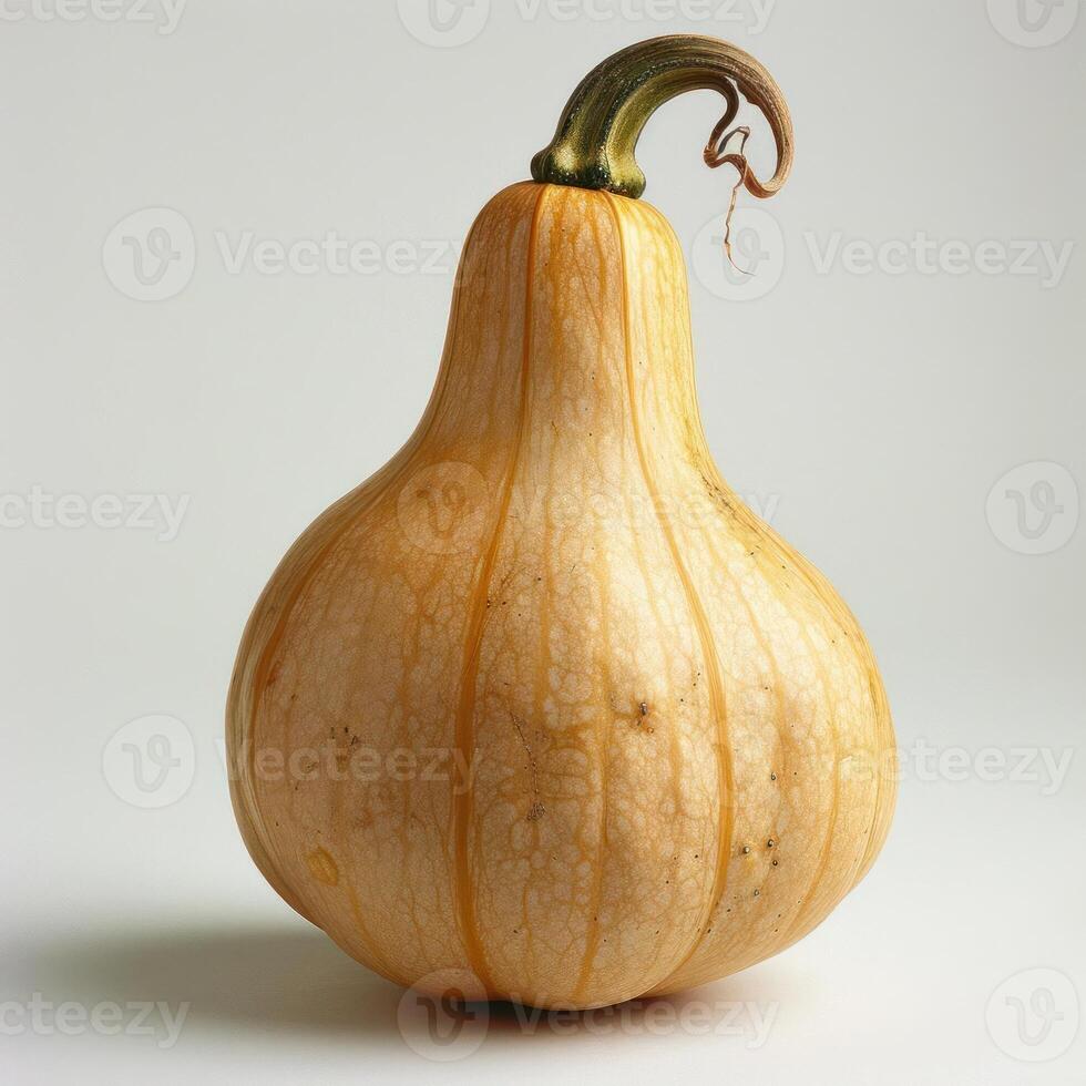 Pumpkin sitting on a white background with stem attached. photo