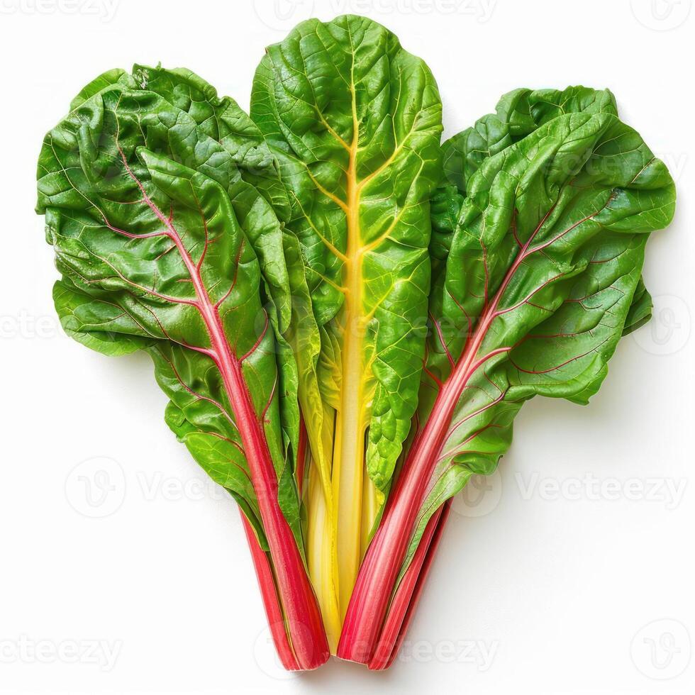 Colorful green and red leafy vegetable in a bundle. photo
