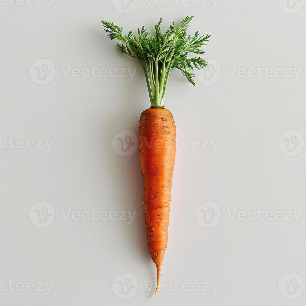A bright orange carrot with a green top, freshly harvested. photo