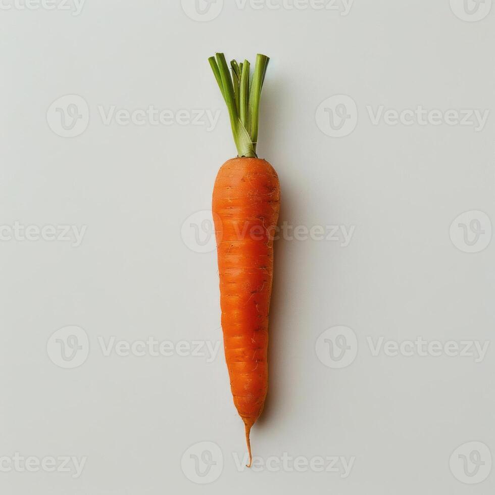 A whole carrot with its top still attached, leaning against a white background. photo