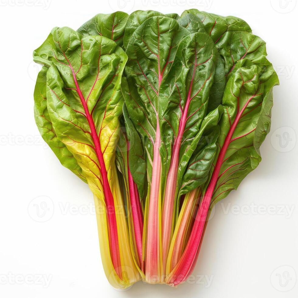 Colorful, fresh beetroot leaves with green veins. photo