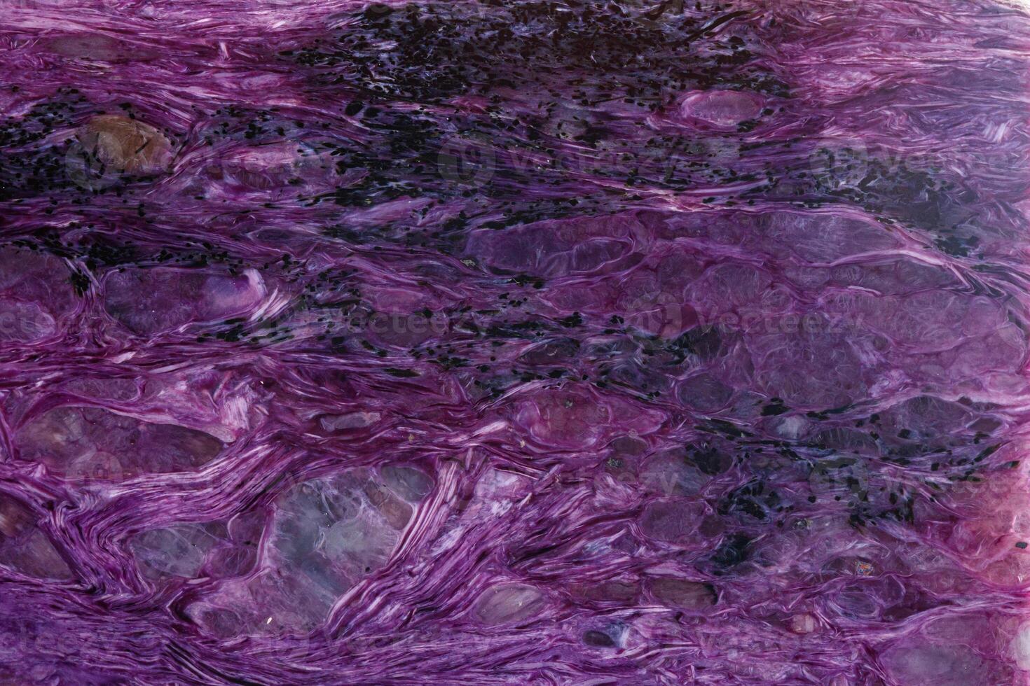 macro mineral stone Charoite on a white background photo