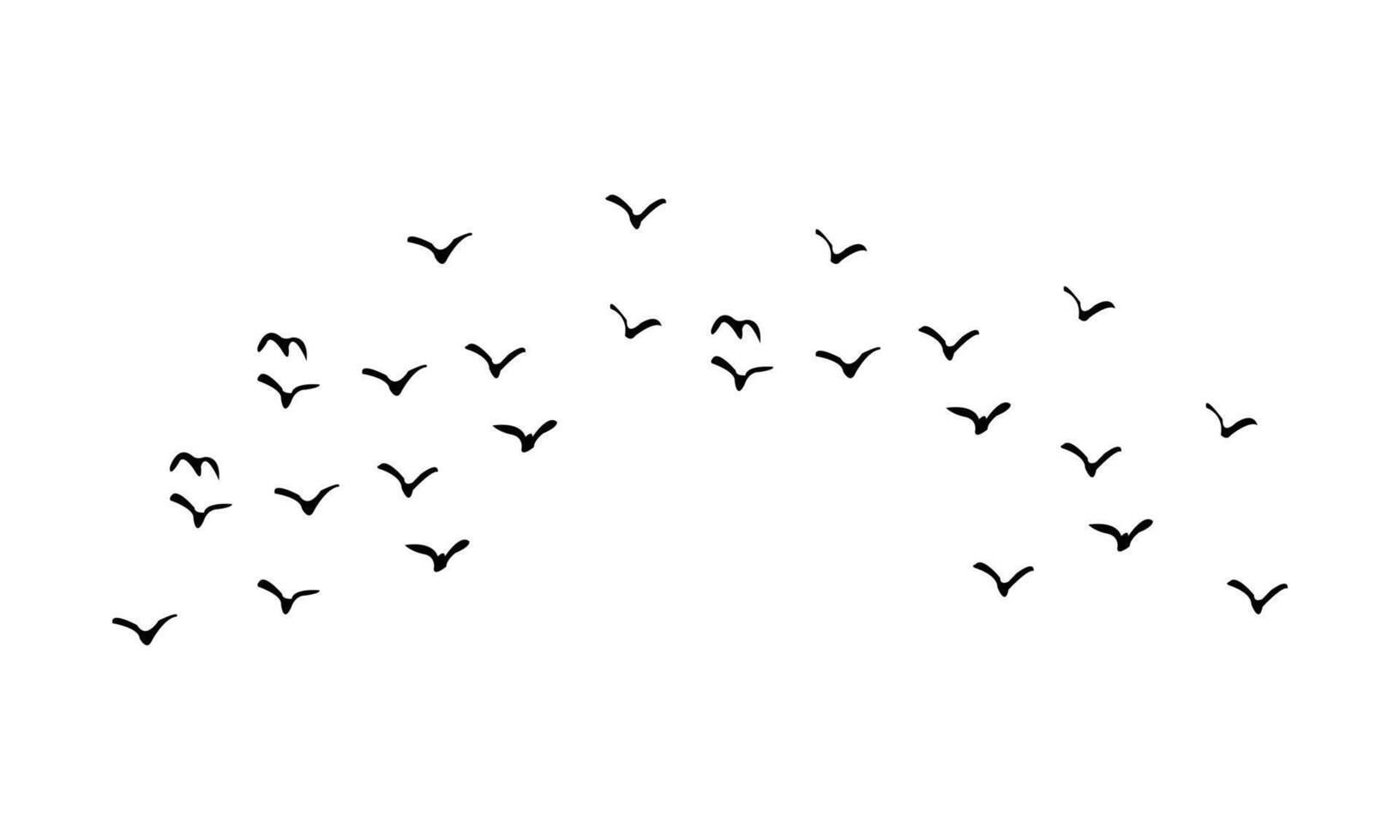 Some Very Beautiful Birds Flying Together vector
