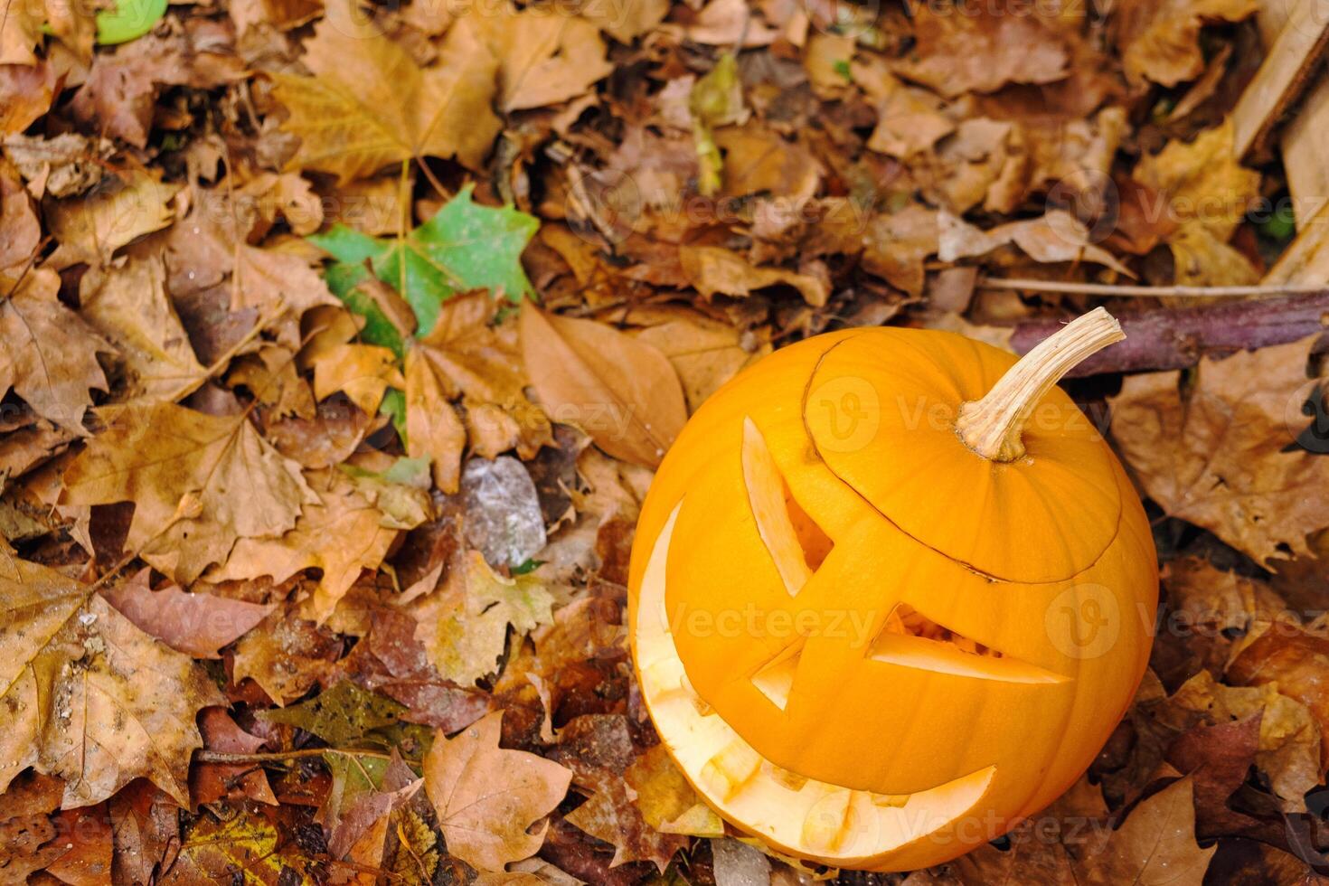 a carved pumpkin as a halloween jack-o-lantern on the fallen leaves of the trees in a schoolyard, view from above. Halloween background photo