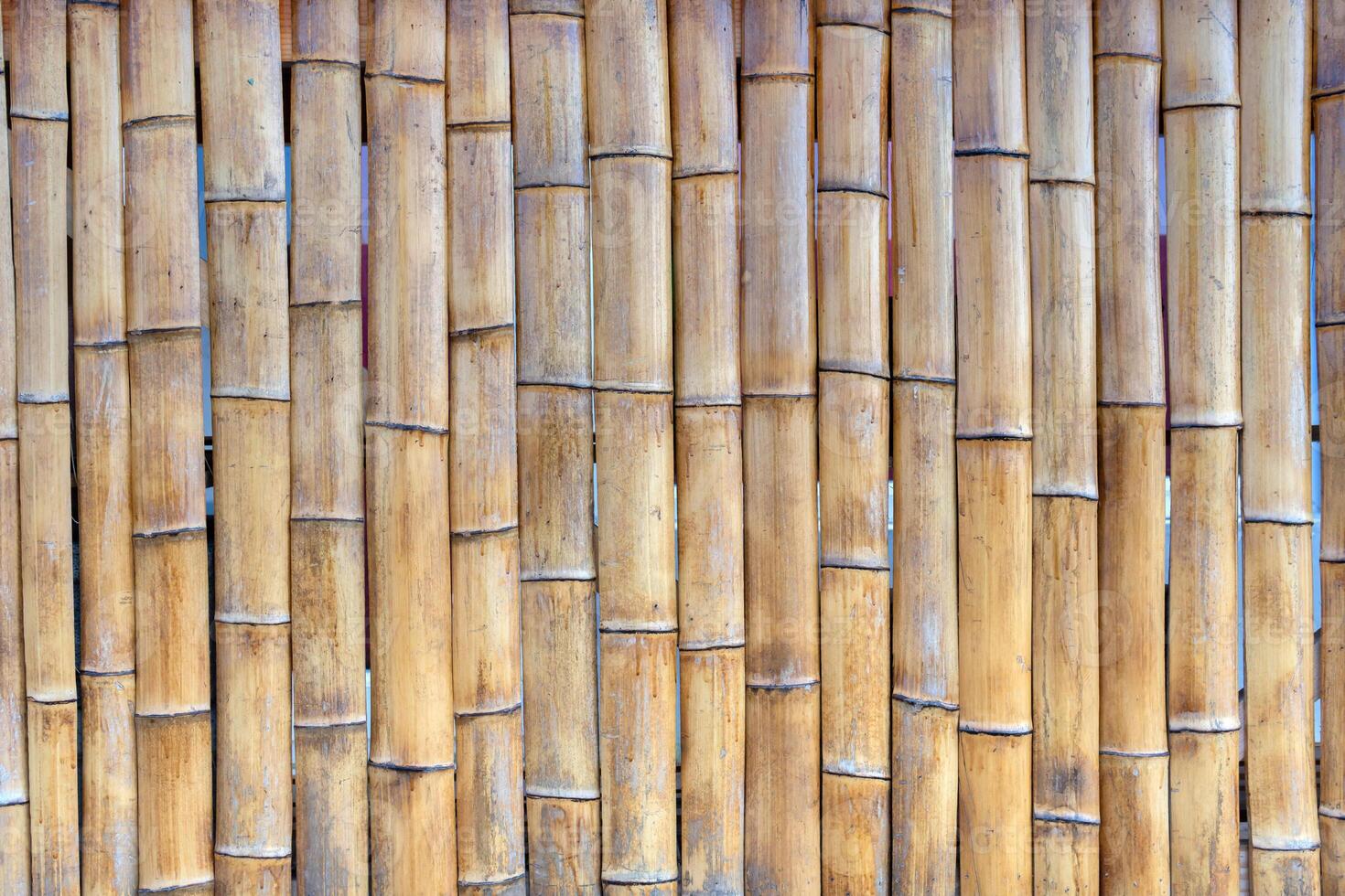 wall made of vertically aligned bamboo stalks, tightly packed together. The bamboo is light brown with darker streaks and nodes characteristic of bamboo. photo