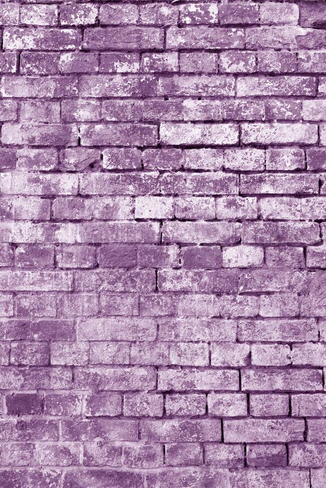The background of the old violet brick wall for design interior and various scenes or as a background for interviews. photo