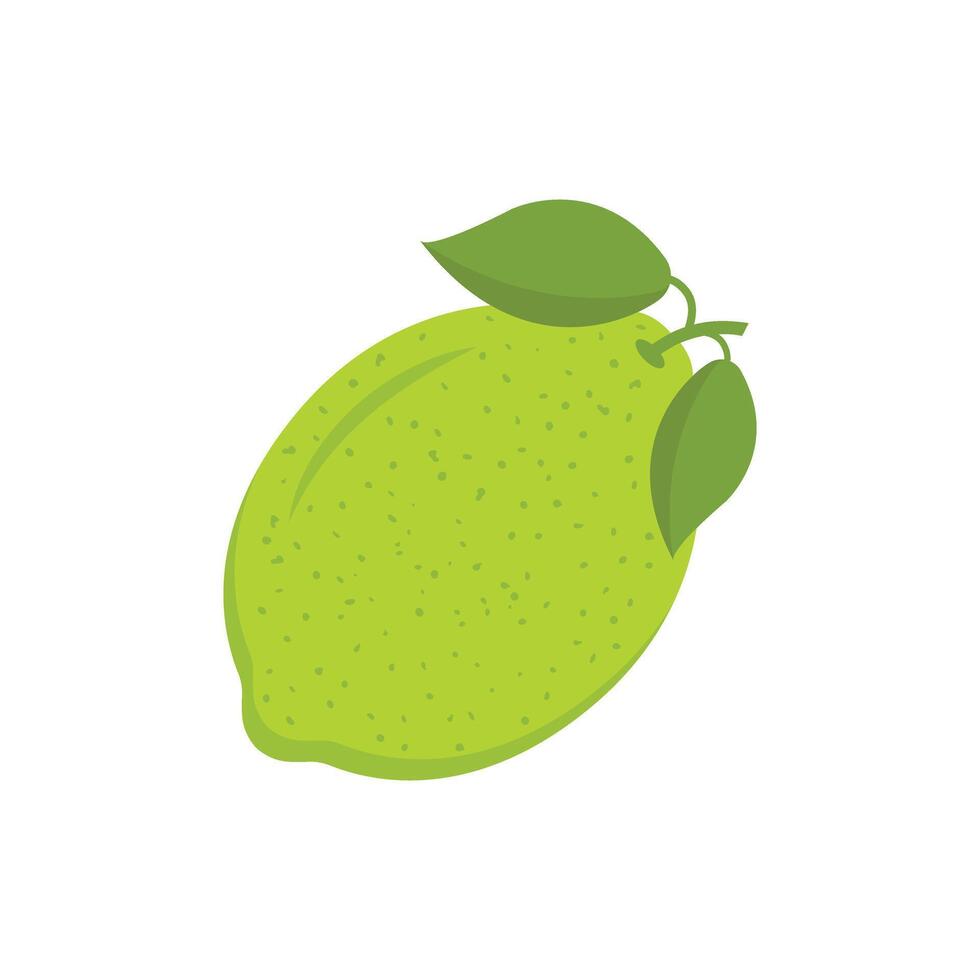 A lemon with leaves on it is shown vector