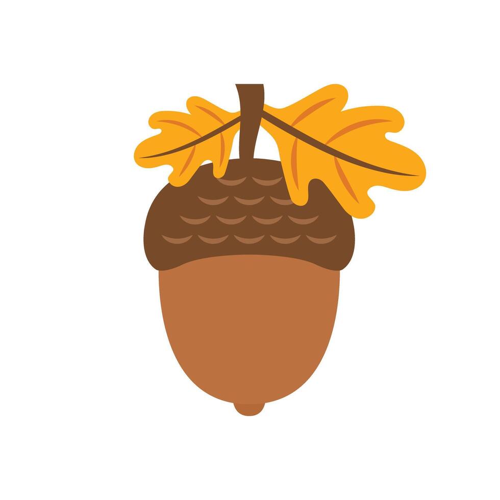 An acorn with leaves and acorns on it vector