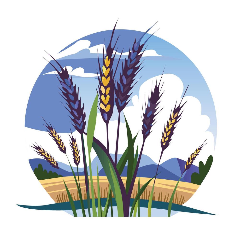 A flat illustration of a golden wheat plants under a bright blue sky vector
