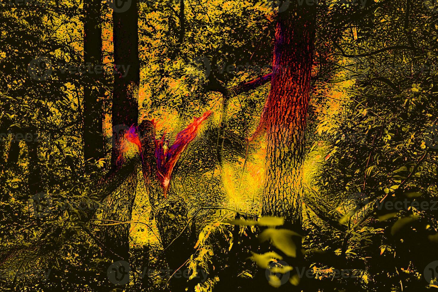 Broken tree. Surreal dark abstract red yellow vegetation, forest photo