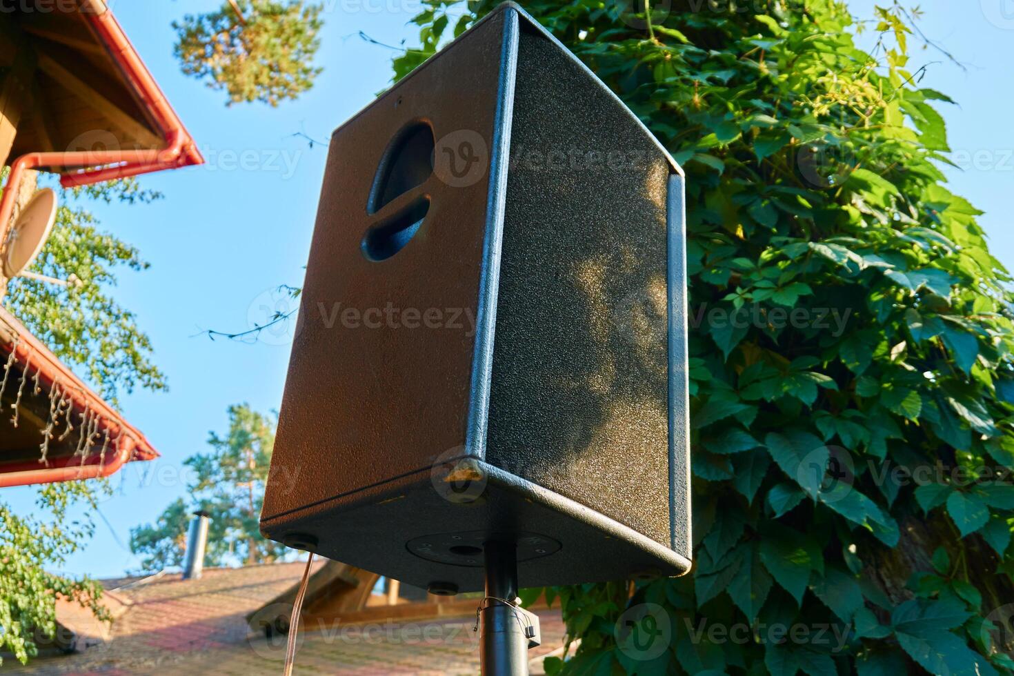 Musical acoustic speaker on a stand near a wooden rural fence with elderberry photo
