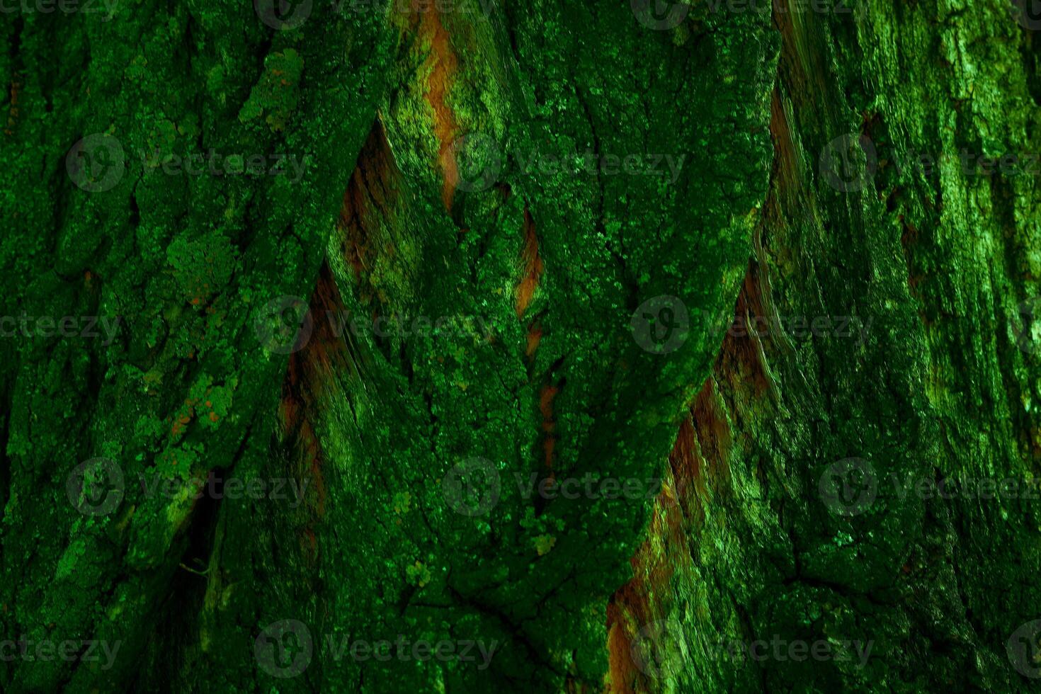 Abstract wooden dark green rough structured background for decor, text photo