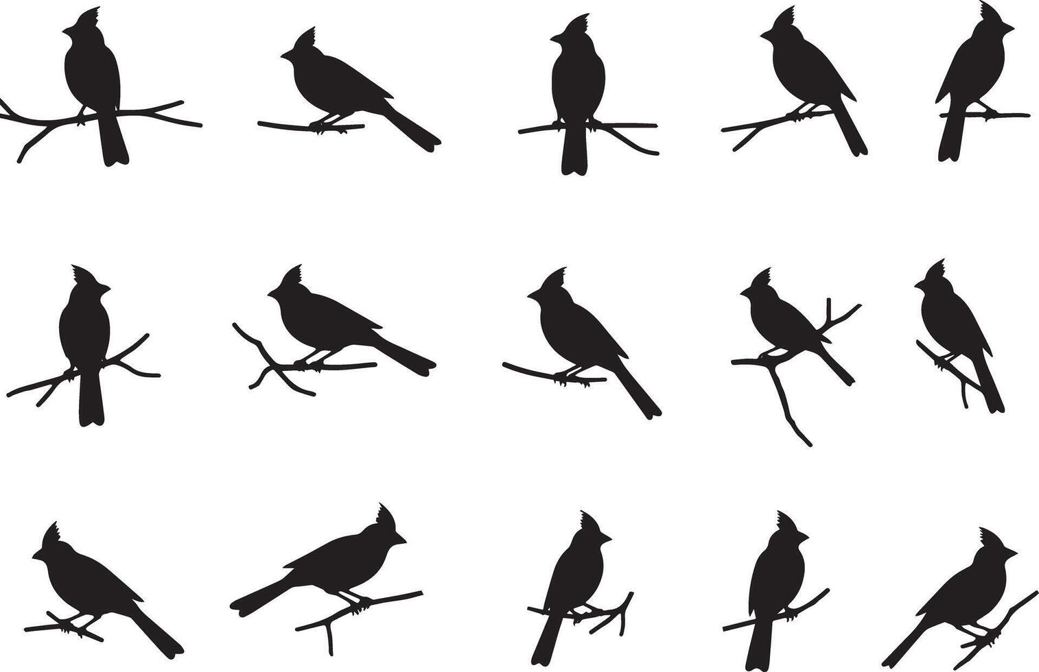 Northern Cardinal silhouettes in various poses bird vector