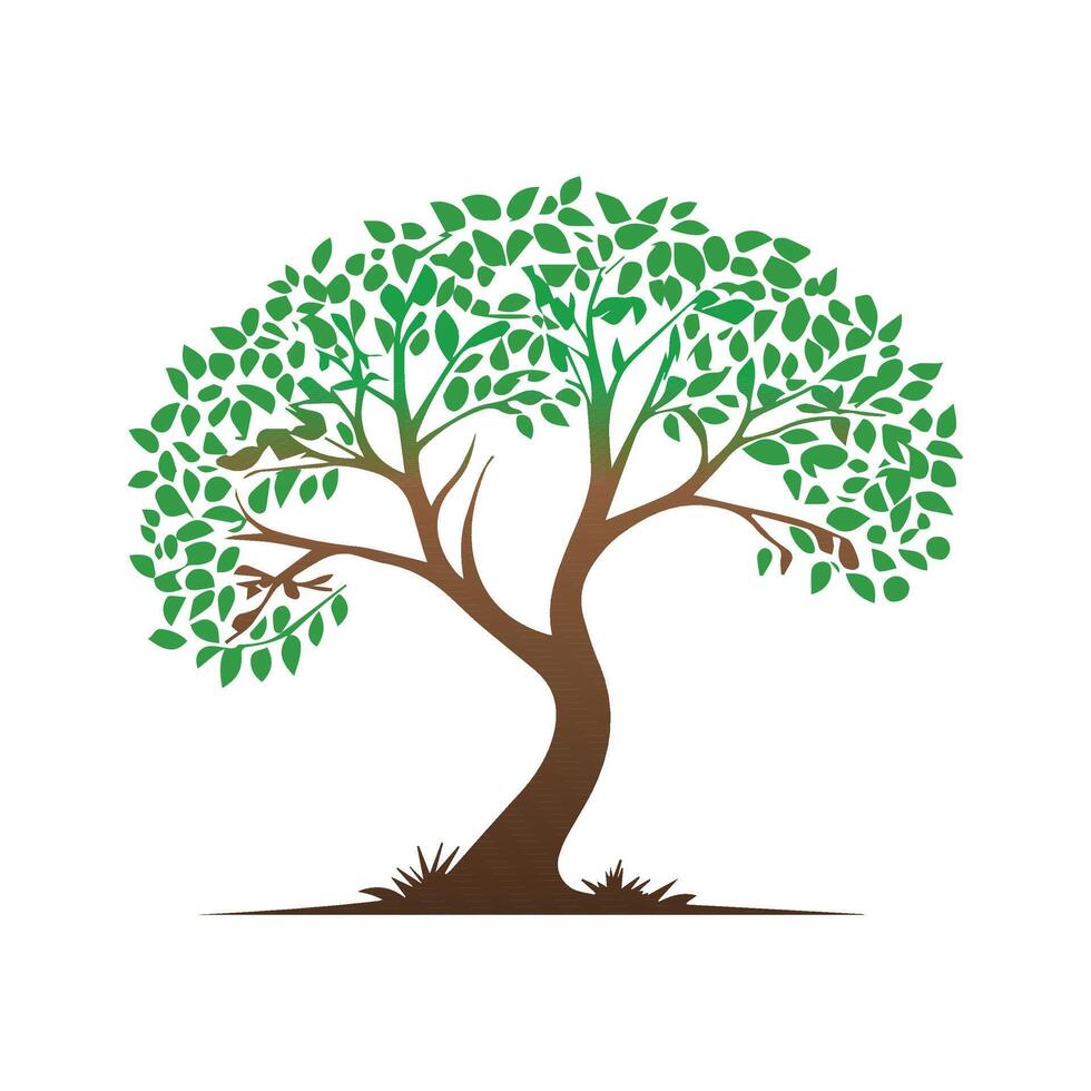 tree with leaves illustration vector
