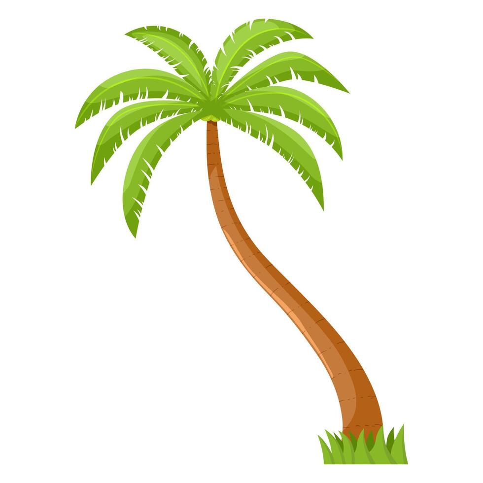 Coconut palm with grass underneath. llustration. Isolated on a white background vector