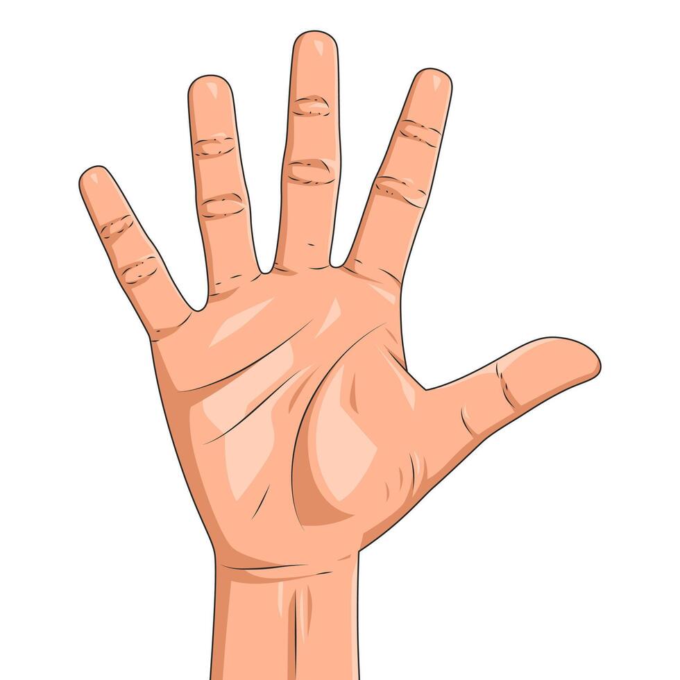 Illustration of hand raised up gesture isolated on white background. Realistic five fingers up vector