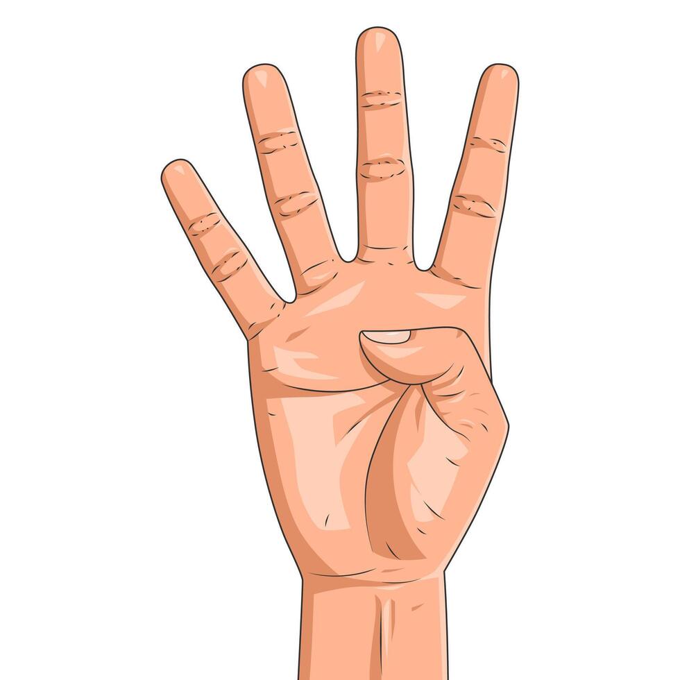 Male hand is showing four fingers isolated on a white background. Realistic four fingers up vector