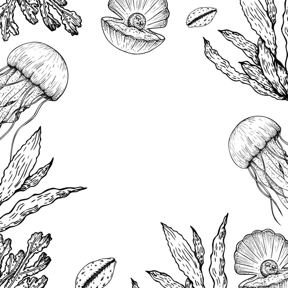 frame with opened oyster seashell with pearl, coral, jellyfish, seaweed, laminaria. Hand painted line sketch. Graphic tropical clip art isolated on background. Underwater illustration. For vector