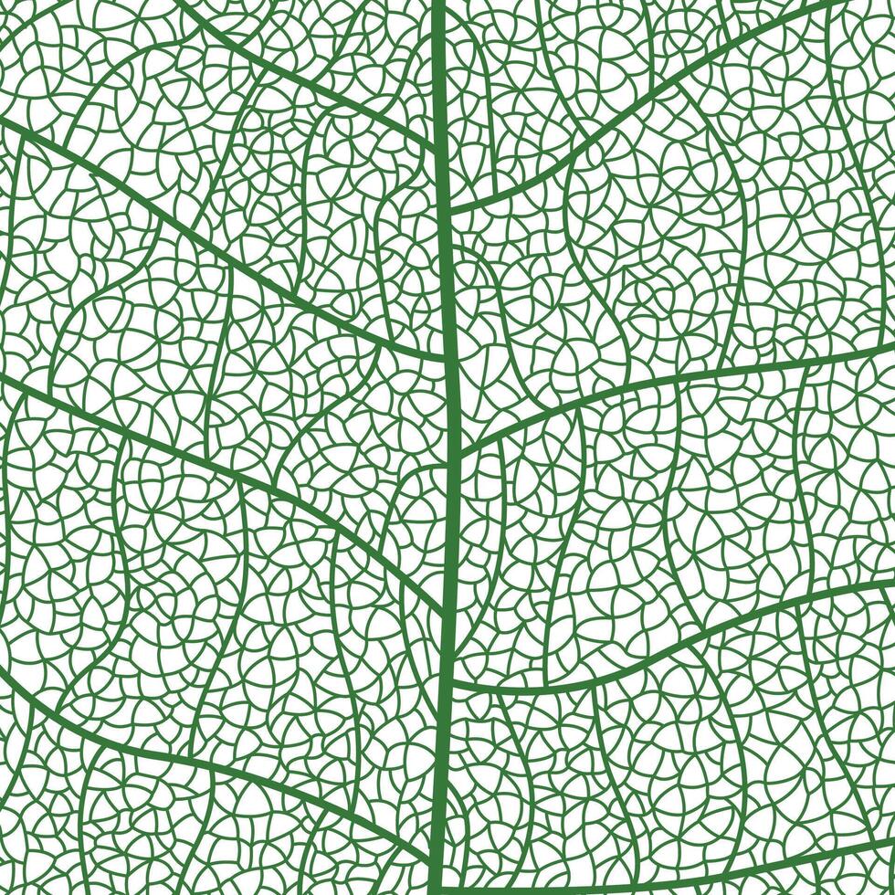 Close-up green leaf texture with intricate details of leaf veins showcasing natures botanical textures and patterns vector