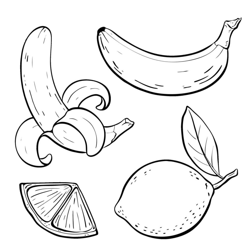 Set of stunning handdrawn illustration featuring fruits a banana and a lemon. sketch illustration. vector