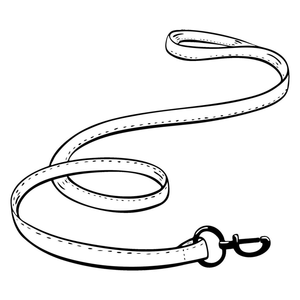 Discover this stylish dog leash, the perfect accessory for pet walking and effective training. sketch illustration. Pet shop vector