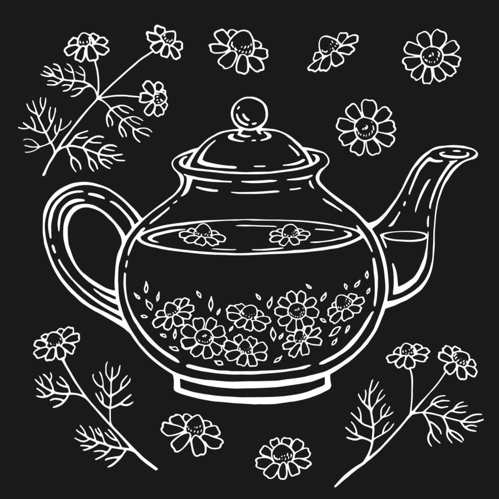 Set with glass teapot, chamomile. Hand drawn illustration in outline style. vector